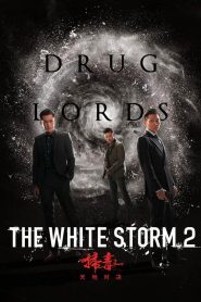โคตรคนโค่นคนอันตราย 2 The White Storm 2: Drug Lords (2019)