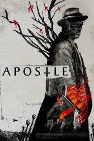 ล่าลัทธิอำมหิต Apostle (2018)