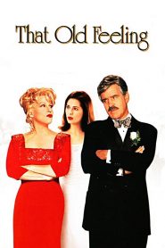 รักกลับทิศ ชีวิตอลเวง That Old Feeling (1997)