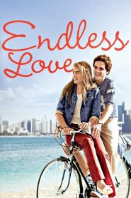 รักนิรันดร์ Endless Love (1981)