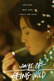 วันที่หัวใจรักกล้าตัดขอบฟ้า Days of Being Wild (1990)