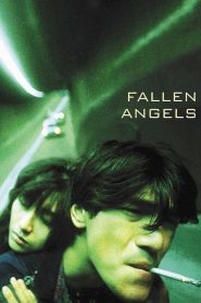 นักฆ่าตาชั้นเดียว Fallen Angels (1995)