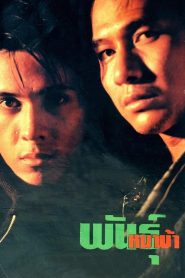 พันธุ์หมาบ้า Phan Ma Ba (1990)
