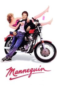 เทวดาทำหล่น Mannequin (1987)