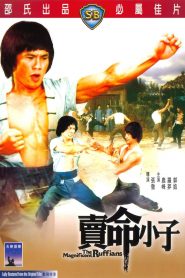 จอมโหดมนุษย์เหล็ก The Magnificent Ruffians (1979)