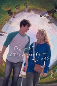 แผนที่วันดีเลิศ The Map of Tiny Perfect Things (2021)
