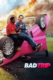 ทริปป่วนคู่อำ Bad Trip (2021)