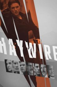 เธอแรง หยุดโลก Haywire (2011)