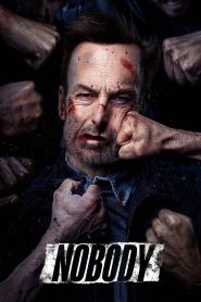 คนธรรมดานรกเรียกพี่ Nobody (2021)