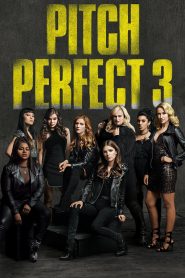 ชมรมเสียงใส ถือไมค์ตามฝัน 3 Pitch Perfect 3 (2017)
