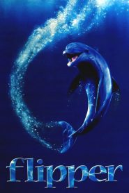 ฟลิปเปอร์ โลมาน้อยเพื่อนมนุษย์ Flipper (1996)
