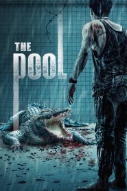 นรก 6 เมตร The Pool (2018)