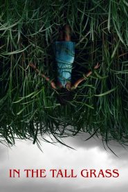 พงหลอนมรณะ In the Tall Grass (2019)
