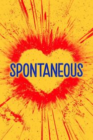 ระเบิดรักไม่ทันตั้งตัว Spontaneous (2020)