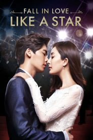 รักหมดใจนายซุปตาร์ Fall in Love Like a Star (2015)
