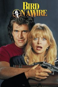 ดับอำมหิต Bird on a Wire (1990)