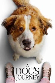 หมา เป้าหมาย และเด็กชายของผม 2 A Dog’s Journey (2019)