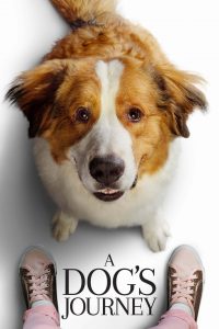 หมา เป้าหมาย และเด็กชายของผม 2 A Dog’s Journey (2019)