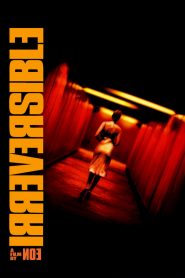 อารมณ์รัก…พิศวาส Irreversible (2002)