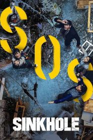 ฝ่าวิกฤต หลุมระทึก Sinkhole (2021)