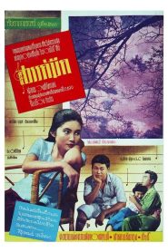 สวรรค์มืด Dark Heaven (1958)