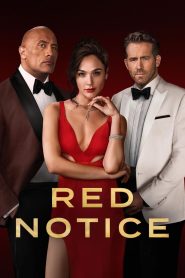 หมายแดง Red Notice (2021)