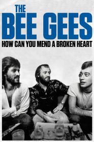 บีจีส์: วิธีเยียวยาหัวใจสลาย The Bee Gees: How Can You Mend a Broken Heart (2020)