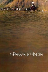 อินเดียสุดฟ้าสัมผัสหัวใจ A Passage to India (1984)