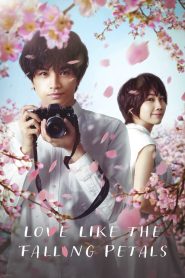 ใบไม้ผลิที่ไม่มีเธอเป็นซากุระ Love Like the Falling Petals (2022)