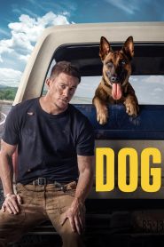 เพื่อนกันพันธุ์ห้าว Dog (2022)