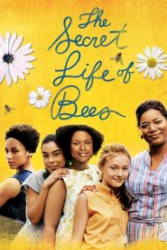 สูตรรักรสน้ำผึ้ง The Secret Life of Bees (2008)