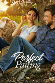 คู่นี้… คือเพอร์เฟค A Perfect Pairing (2022)