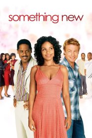 รักใหม่ ทำไมต้องเธอ Something New (2006)