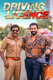 ใบขับขี่อลเวง Driving Licence (2019)