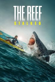 ครีบพิฆาต The Reef: Stalked (2022)
