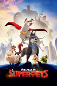 ขบวนการซูเปอร์เพ็ทส์ DC League of Super-Pets (2022)