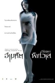 อำมหิต…พิศวาส The Passion (2006)