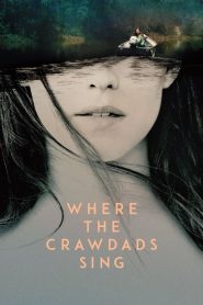 ปมรักในบึงลึก Where the Crawdads Sing (2022)