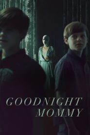 แม่ครับ หลับซะเถอะ Goodnight Mommy (2022)