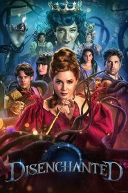 มหัศจรรย์รักข้ามภพกับเวทมนตร์อลเวง Disenchanted (2022)