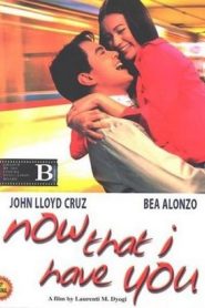 Now That I Have You (2004)