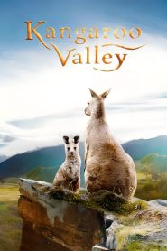 หุบเขาแห่งจิงโจ้ Kangaroo Valley (2022)