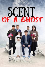ห้องนี้มีผีหรอ Scent of a Ghost (2019)