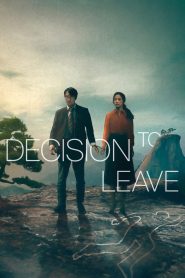 ฆาตกรรมรัก หลังเขา Decision to Leave (2022)