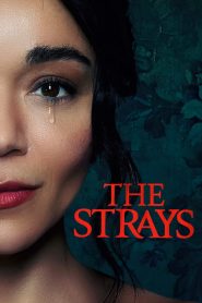 คนหลงทาง The Strays (2023)