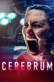 Cerebrum (2022) พากย์ไทย