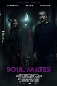 Soul Mates (2023) พากย์ไทย