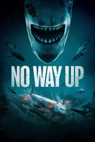 งาบคลั่งไฟลต์ No Way Up (2024)