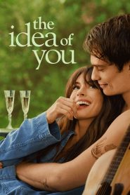 ภาพฝัน ฉันกับเธอ The Idea of You (2024)