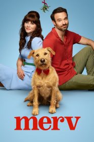 Merv (2025) เมิร์ฟ สี่ขาสื่อหัวใจ